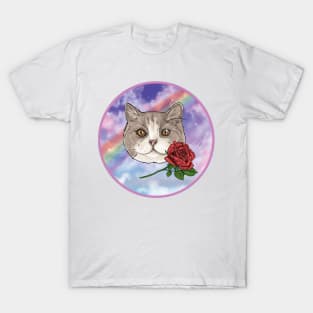 Zippy Stardust Kitty Cat T-Shirt